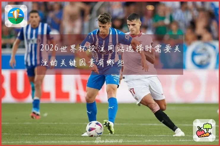 2026世界杯投注网站选择时需要关注的关键因素有哪些