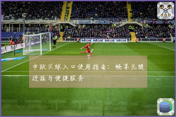 中欧买球入口使用指南：畅享无缝连接与便捷服务