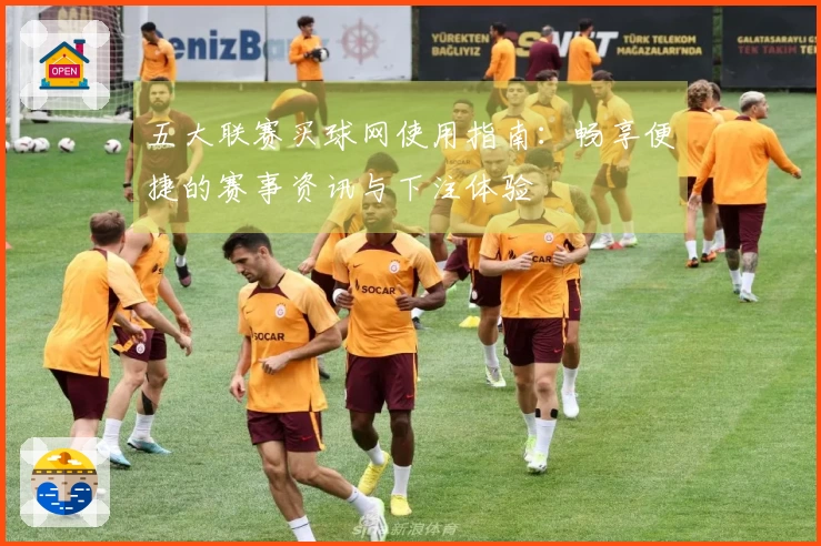五大联赛买球网使用指南：畅享便捷的赛事资讯与下注体验