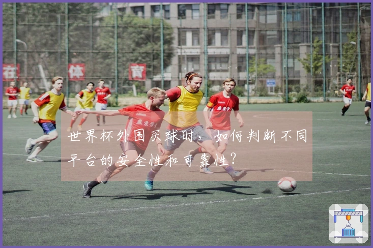 世界杯外围买球时，如何判断不同平台的安全性和可靠性？