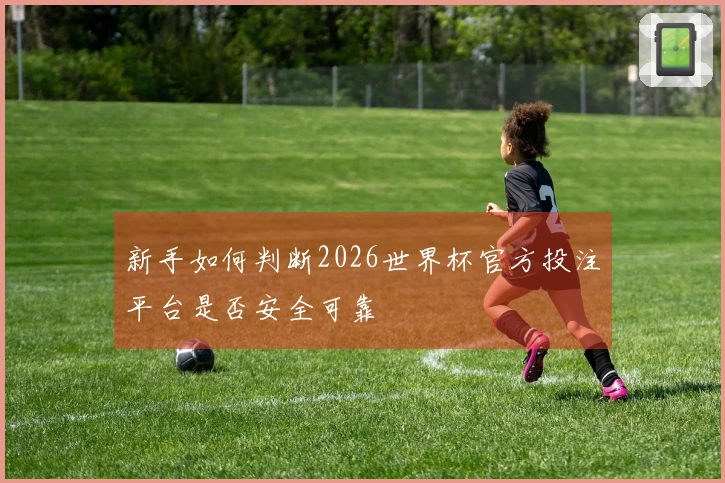新手如何判断2026世界杯官方投注平台是否安全可靠
