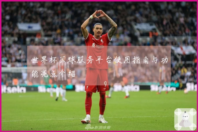 世界杯买球服务平台使用指南与功能亮点介绍