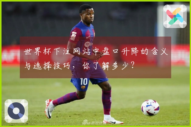 世界杯下注网站中盘口升降的含义与选择技巧，你了解多少？