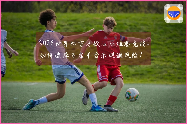 2026世界杯官方投注小组赛竞猜，如何选择可靠平台和规避风险？