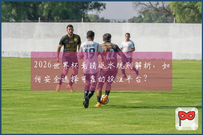 2026世界杯竞猜返水规则解析，如何安全选择可靠的投注平台？