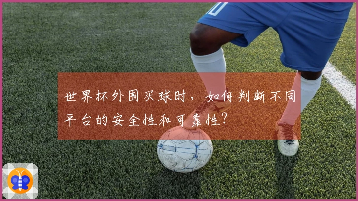 世界杯外围买球时,如何判断不同平台的安全性和可靠性?