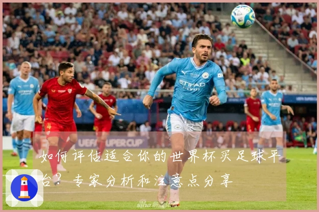 如何评估适合你的世界杯买足球平台？专家分析和注意点分享