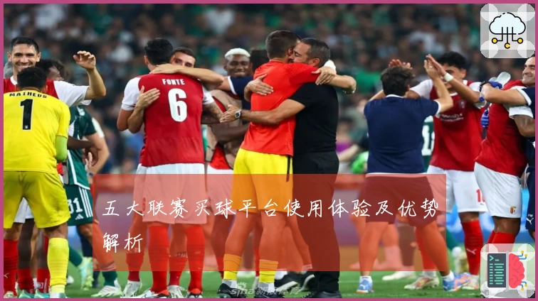 五大联赛买球平台使用体验及优势解析