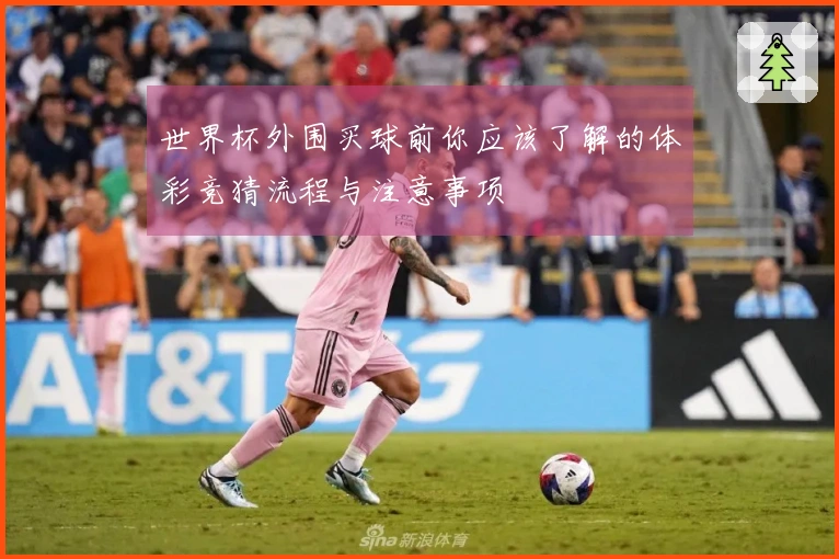 世界杯外围买球前你应该了解的体彩竞猜流程与注意事项