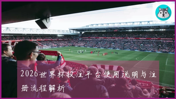 2026世界杯投注平台使用说明与注册流程解析