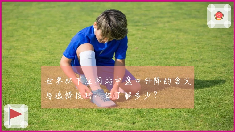 世界杯下注网站中盘口升降的含义与选择技巧，你了解多少？
