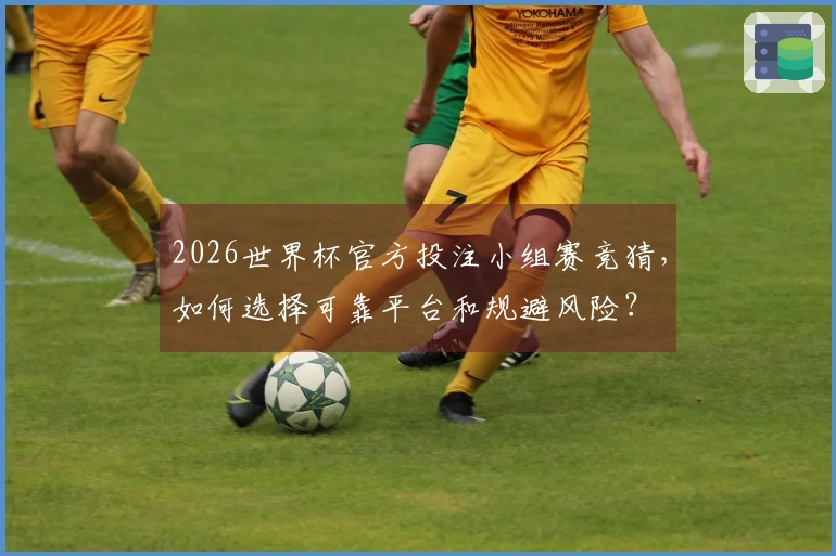2026世界杯官方投注小组赛竞猜，如何选择可靠平台和规避风险？